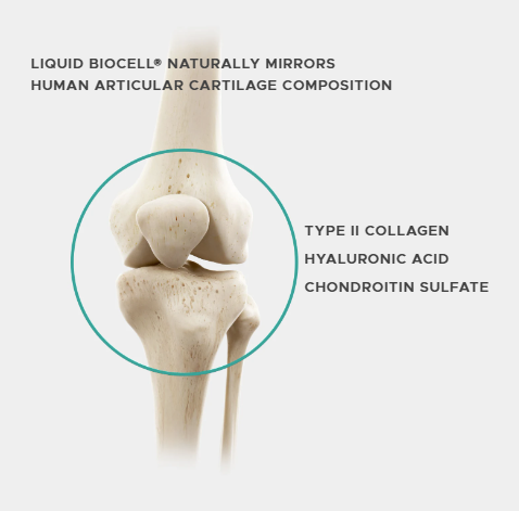 Science of Liquid Biocell